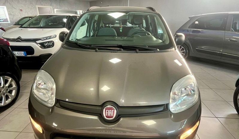 
								FIAT PANDA FIREFLY full									