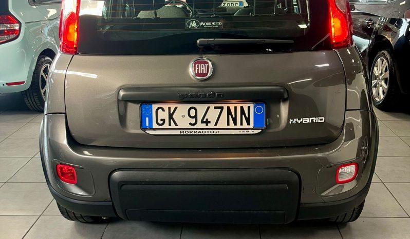 
								FIAT PANDA FIREFLY full									