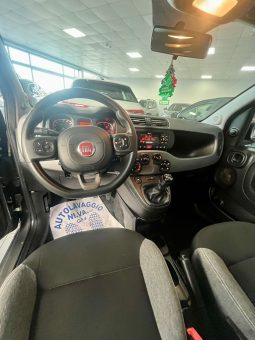 
										FIAT PANDA FIREFLY full									