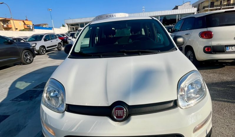 
								FIAT PANDA EASY full									