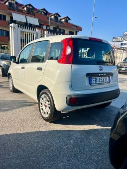 
										FIAT PANDA EASY full									