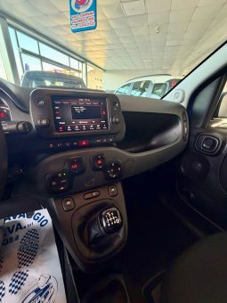 
										FIAT PANDA CROSS FIREFLY full									
