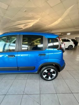 
										FIAT PANDA CROSS FIREFLY full									