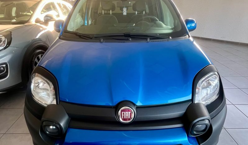 
								FIAT PANDA CROSS FIREFLY full									