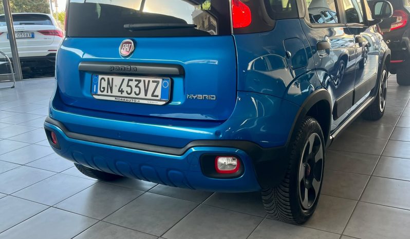 
								FIAT PANDA CROSS FIREFLY full									