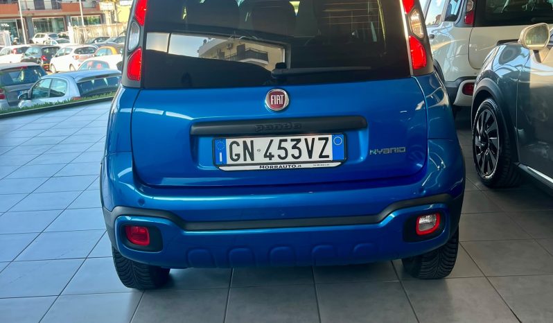 
								FIAT PANDA CROSS FIREFLY full									