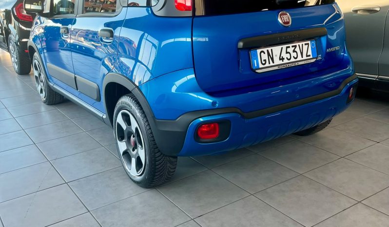 
								FIAT PANDA CROSS FIREFLY full									